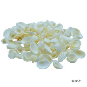 Shells Foreign Chippe 100gm SAFC-01