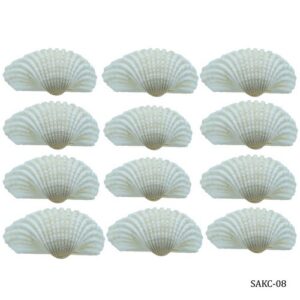 Shells kakinada Chippi 100gm SAKC-08