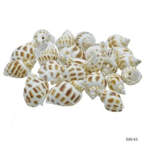 Shells Shmall Forigen Puta Muttai 50GM SAS-61