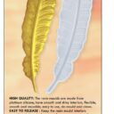DIY SILICONE MOULD Feather Bookmark.cdr