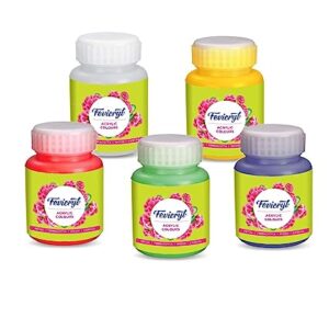 Fevicryl Acrylic Colours ( 100 ML )