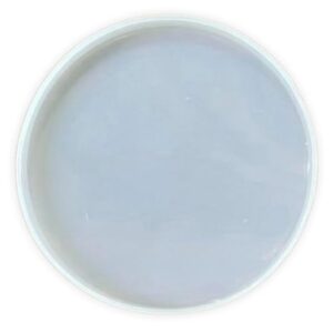 8" Round Silicone Mould (10mm Depth) / Puja Thali Mould/Silicon Mould/Molds/Resin Art/Arts & Crafts/Resin/Pack 1