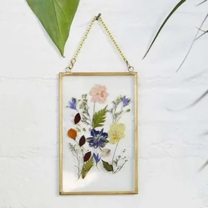 Glass Frame ( 4 x 6 )