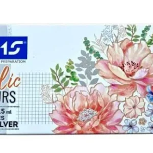 Doms Acrylic Colours 12 Shades Kit15ml | Includes Gold and Silver with 2 Brushes Included in Box | DIY Paint for Canvas Wood Metal Leather Rich Pigment Paint |