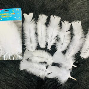 Pure White Soft Ostrich Feathers (Pack of 10 pcs)