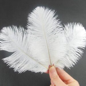 White Feather 10 Pcs Pack