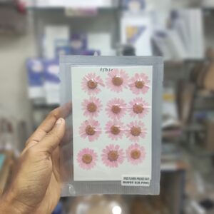 Pressed Flower Daisy Baby Pink
