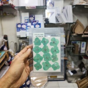 Pressed Flower Sky Blue