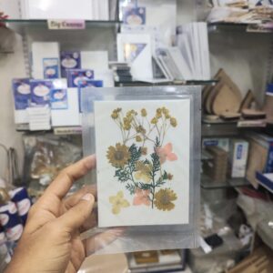 Pressed Flower Daisy Small Mix