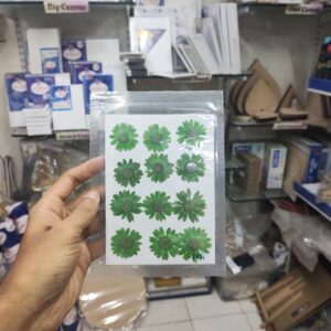 Pressed Flower Daisy Green