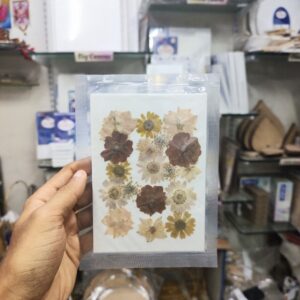 Pressed Flower Mix