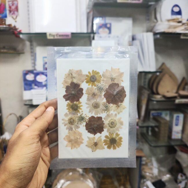 IMG_20250312_113728638~2