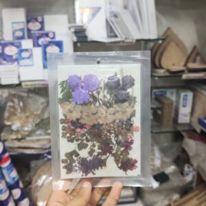 Pressed Flower Mix All