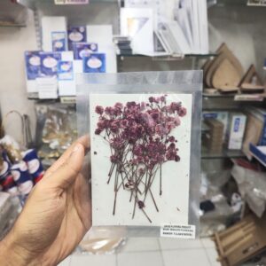 Pressed Flower Baby Breath Lavender