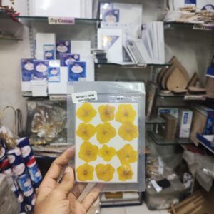Pressed Flower Yellow