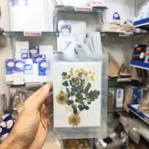 Pressed Flower Small Mix