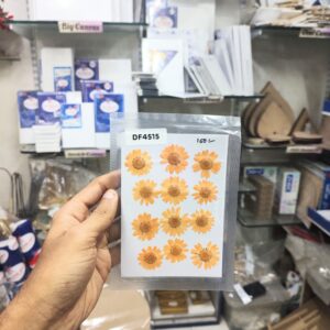 Pressed Flower Daisy Orange