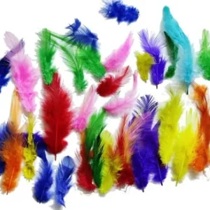 Feathers Mix Colour