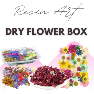 Dry Flowers & Box