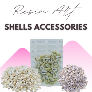 Shells Accessories