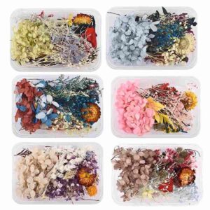 Natural Dried Flowers For Resin Art | 1 Box | Design May Vary