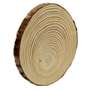 Unfinished Natural Wood Slice with Bark (Size: 10 Cm) (1 cm Thick)